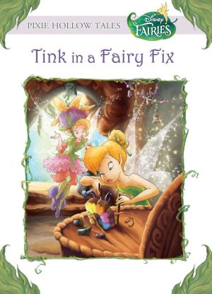 Cover of the book Disney Fairies: Tink in a Fairy Fix by Michael Siglain