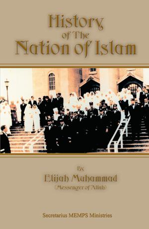bigCover of the book History of The Nation of Islam by 