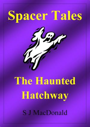 Book cover of Spacer Tales: The Haunted Hatchway