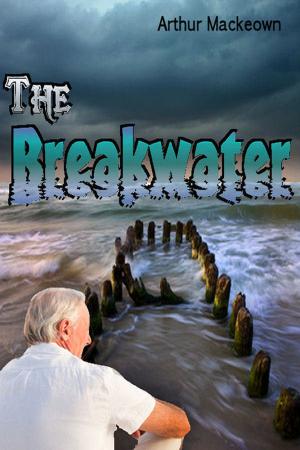 Cover of the book The Breakwater by Jannah Firdaus Mediapro