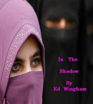 bigCover of the book In the Shadow by 