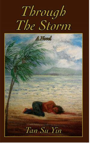 Book cover of Through The Storm