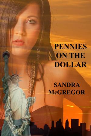 Cover of the book Pennies on the Dollar by Victoria Ichizli-Bartels