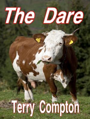 Cover of the book The Dare by Peter Fiocco