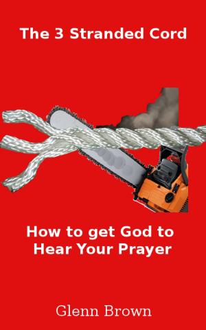 Cover of the book The 3 Stranded Cord:Getting God to Hear Your Prayer by Mark Schmidt
