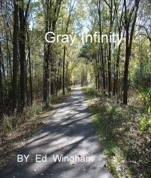 bigCover of the book Gray Infinity by 