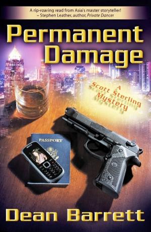 Cover of the book Permanent Damage by Nathan Birr