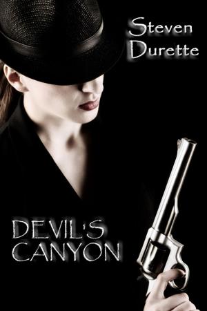 Cover of the book Devil's Canyon by Ben Silver