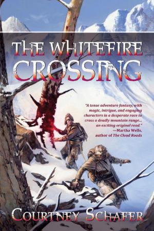 Cover of the book The Whitefire Crossing by Greg Egan