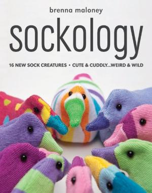 Cover of the book Sockology: 16 New Sock Creatures, Cute & Cuddly...Weird & Wild by Paula Nadelstern