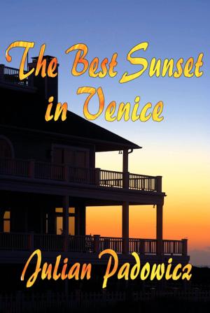 Cover of the book The Best Sunset in Venice by James Holden-Rhodes