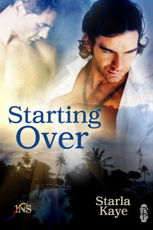 Cover of the book Starting Over by Victoria King