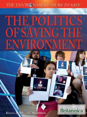 Cover of the book The Politics of Saving the Environment by Julia J. Quinlan