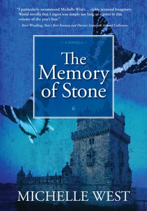 Book cover of The Memory of Stone