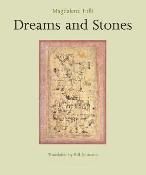 Cover of the book Dreams and Stones by Louis Couperus