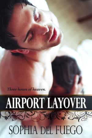 Cover of the book Airport Layover by Aden Lowe
