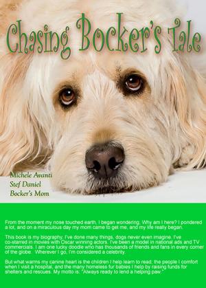 Cover of the book Chasing Bocker's Tale by Angela Dawn