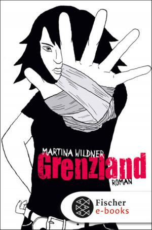 Cover of the book Grenzland by Marie-Aude Murail