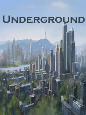 Book cover of Underground