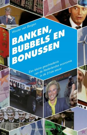 Cover of the book Banken, bubbels en bonussen by Menno Lanting