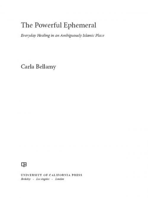 Cover of the book The Powerful Ephemeral by Carla Bellamy, University of California Press