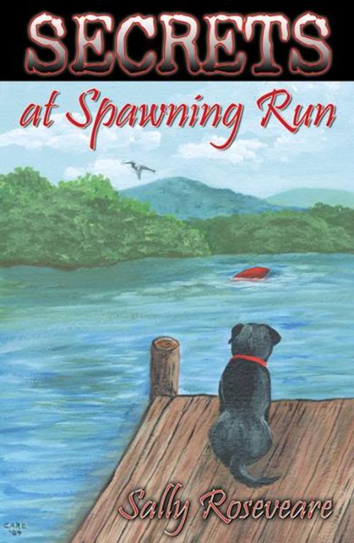 Cover of the book Secrets at Spawning Run by Roseveare, Sally, Infinity Publishing