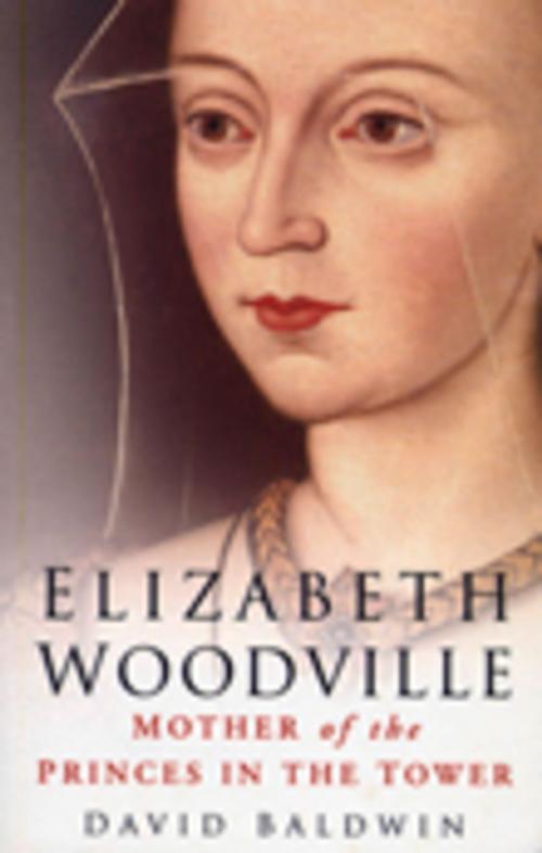 Cover of the book Elizabeth Woodville by David Baldwin, The History Press