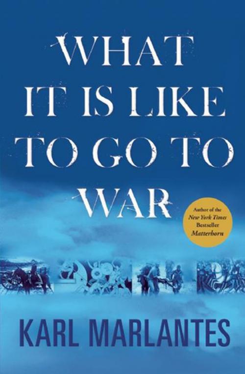 Cover of the book What It Is Like to Go to War by Karl Marlantes, Grove Atlantic