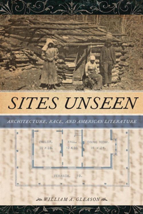 Cover of the book Sites Unseen by William A. Gleason, NYU Press