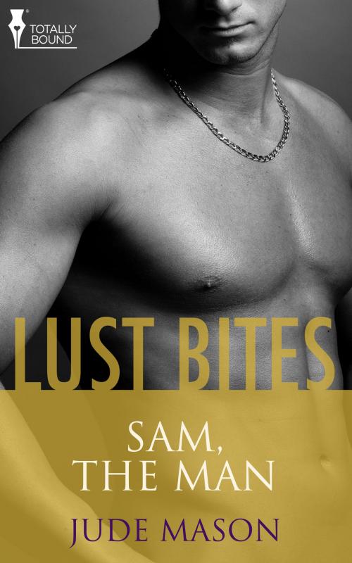 Cover of the book Sam, the Man by Jude Mason, Totally Entwined Group Ltd