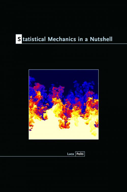 Cover of the book Statistical Mechanics in a Nutshell by Luca Peliti, Princeton University Press