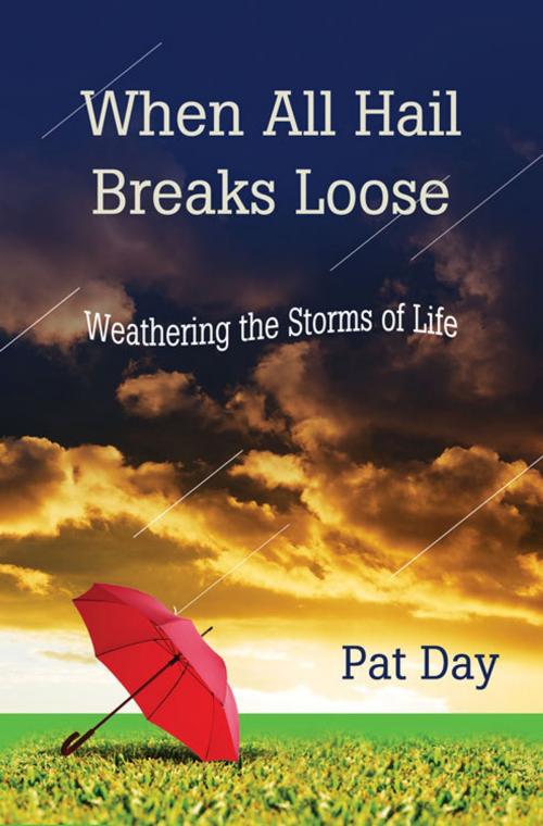 Cover of the book When All Hail Breaks Loose by Pat Day, Abingdon Press