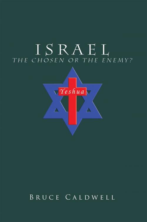 Cover of the book Israel the Chosen or the Enemy? by Bruce Caldwell, Trafford Publishing