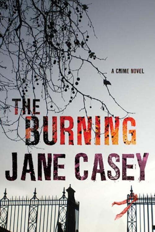 Cover of the book The Burning by Jane Casey, St. Martin's Press