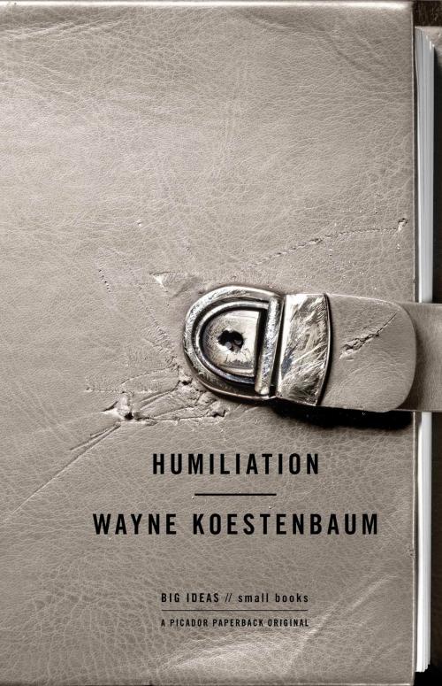 Cover of the book Humiliation by Wayne Koestenbaum, Picador