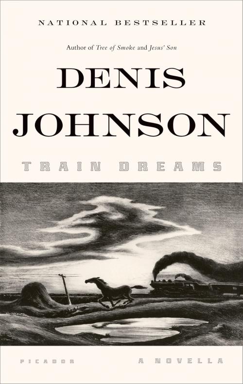 Cover of the book Train Dreams by Denis Johnson, Farrar, Straus and Giroux