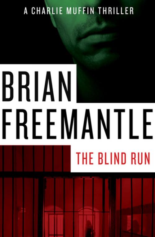 Cover of the book The Blind Run by Brian Freemantle, Open Road Media