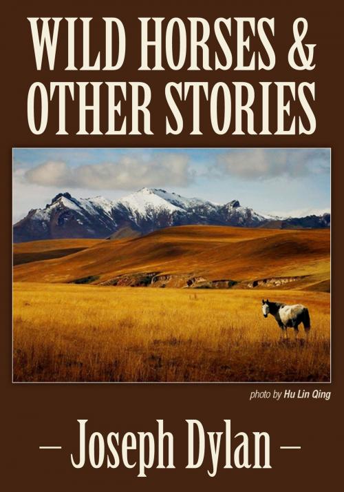 Cover of the book Wild Horses and Other Stories by Joseph Dylan, eBookIt.com