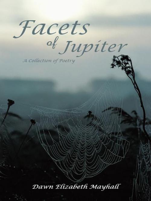 Cover of the book Facets of Jupiter by Dawn Elizabeth Mayhall, iUniverse