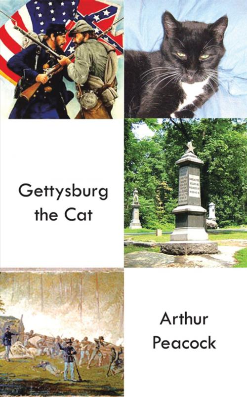 Cover of the book Gettysburg the Cat by Arthur Peacock, iUniverse