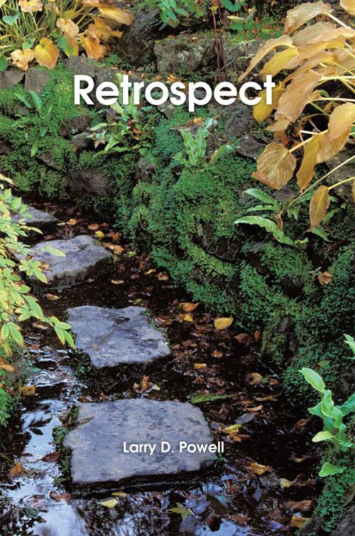 Cover of the book Retrospect by Larry D. Powell, iUniverse