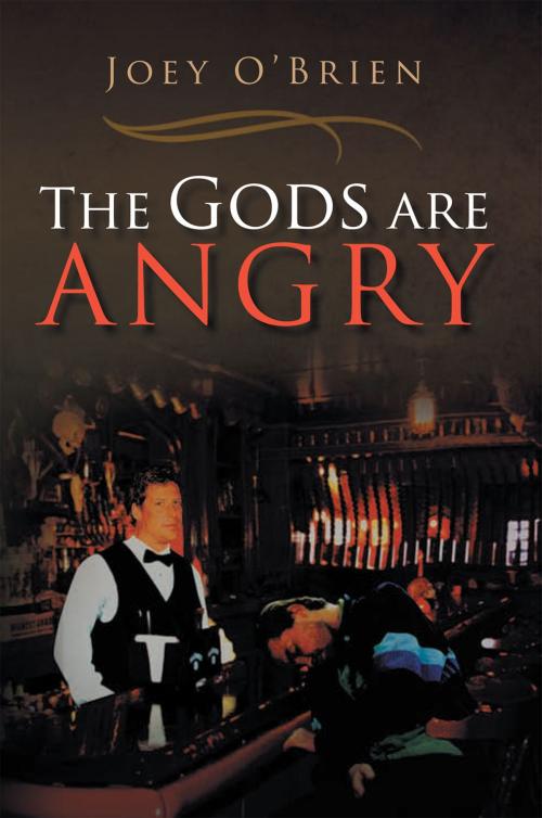 Cover of the book The Gods Are Angry by Joey O’Brien, Xlibris US