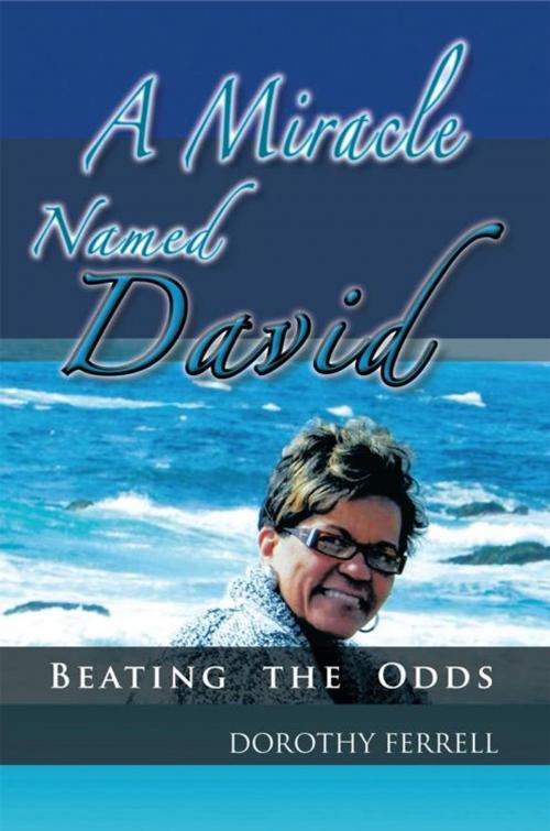 Cover of the book A Miracle Named David by Dorothy Ferrell, AuthorHouse