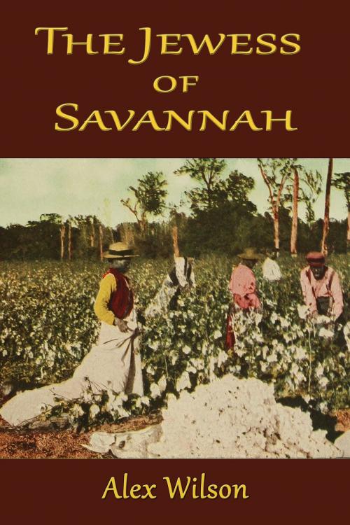 Cover of the book The Jewess of Savannah by Alex Wilson, Alex Wilson