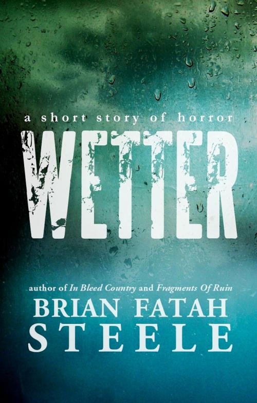 Cover of the book Wetter by Brian Fatah Steele, Brian Fatah Steele