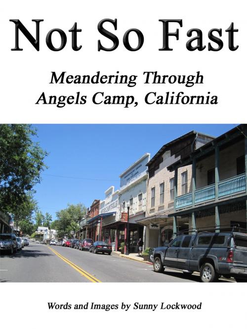 Cover of the book Not So Fast: Meandering Through Angels Camp, California by Sunny Lockwood, Sunny Lockwood