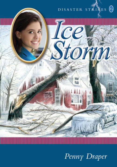 Cover of the book Ice Storm by Penny Draper, Coteau Books