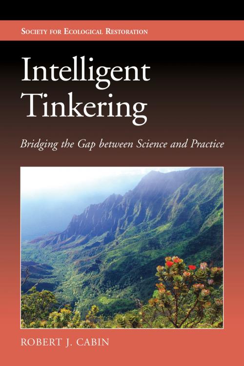 Cover of the book IntelligTinkering by Robert Jonathan Cabin, Island Press