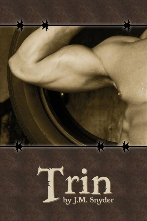 Cover of the book Trin by J.M. Snyder, JMS Books LLC