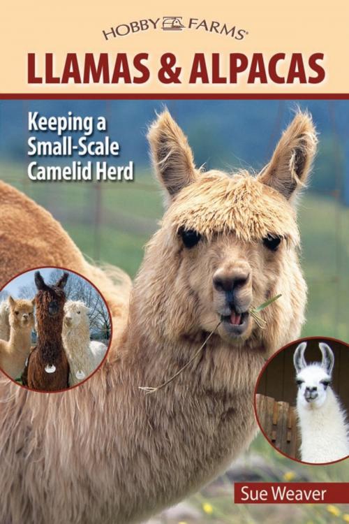 Cover of the book Llamas and Alpacas by Sue Weaver, CompanionHouse Books